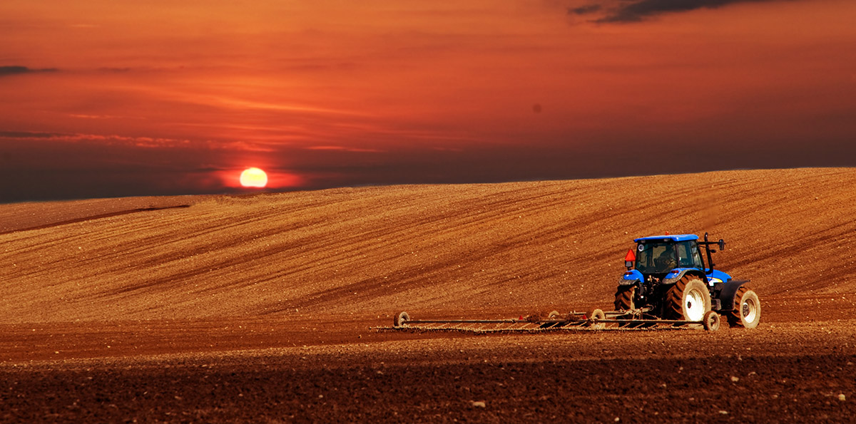 Covid-19 drives food security, and Kazakhstan’s agricultural development, up the agenda