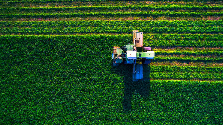 Keep our faith in innovation to help agriculture weather this storm